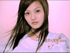 张韶涵(2004-2021)所有专辑全部歌曲打包[高品质MP3+无损FLAC/6.52GB]百度云网盘下载 - 挖音乐
