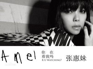 张惠妹《精选歌曲100首》音乐包[高品质MP3+无损FLAC/3.83GB]百度云网盘下载 - 挖音乐