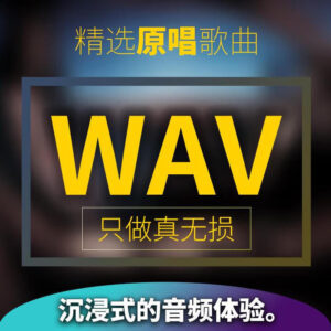 【无损音乐】1735首经典流行歌曲[WAV格式][70.8GB]百度网盘下载 - 挖音乐
