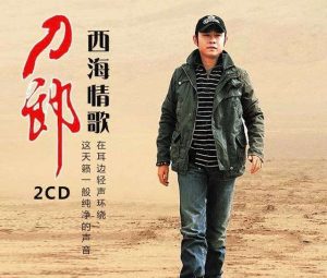 刀郎[2001-2021]所有专辑全部歌曲打包[高品质MP3+无损FLAC/6.92GB]百度云网盘下载 - 挖音乐