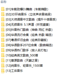 5万首车载音乐歌曲大全（DJ·无损·抖音·经典·分类整理）[380G]百度网盘下载 - 挖音乐